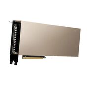  Nvidia 699-2G133-0242-L00 Dual Slot GDDR6 Gpu