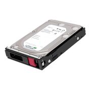 P09161-H21 HPE 10TB SATA 6GBPS HDD