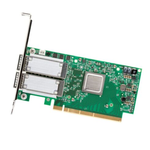 HPE P06842-001 100 Gigabit Adapter