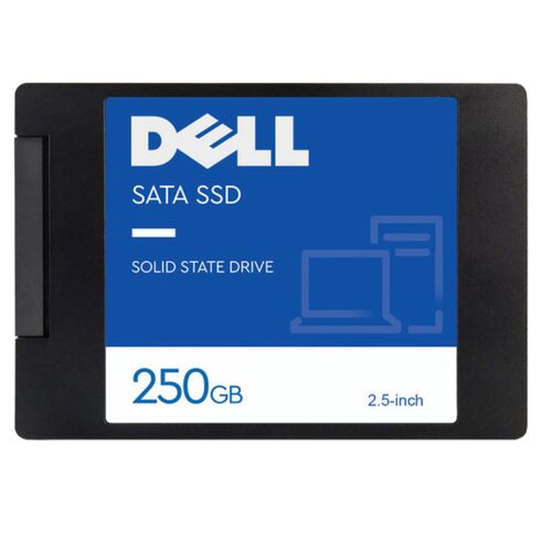 SNP110S/256G Dell SATA Solid State Drive