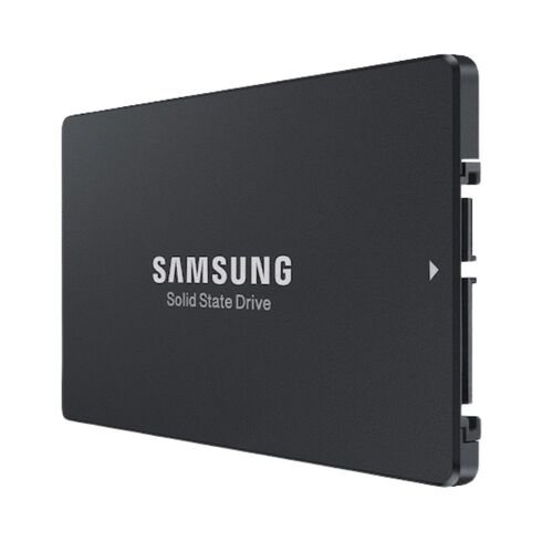 Samsung MZ-XLR9600 960GB NVMe Solid State Drive