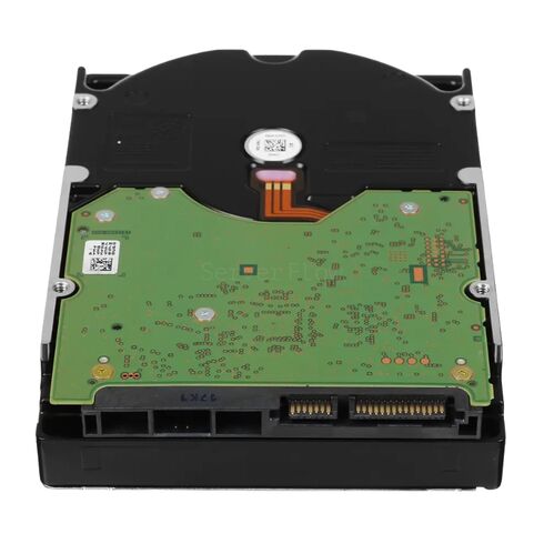 Western Digital WD100EFGX 10TB Hard Disk Drive