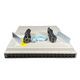 N9K-C9336C-FX2 Cisco 36 Ports Switch