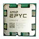100-000001481 AMD EPYC 4.20GHz Processor
