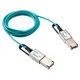876689-B21 HPE 300GB Optical Cable