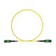 HPE P22609-001 12-Fiber Optic Cable